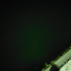 アジングとメバリング