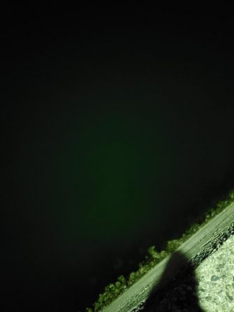 アジングとメバリング