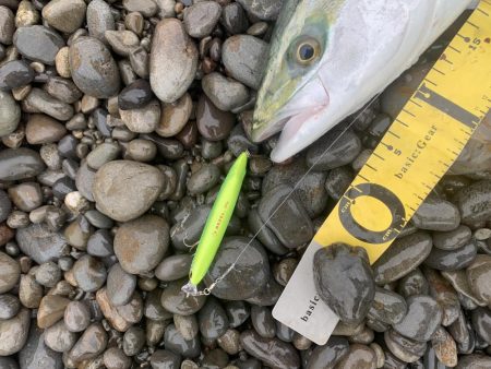 長潮でも釣れました。