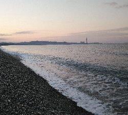 マイクロベイト対応できず。