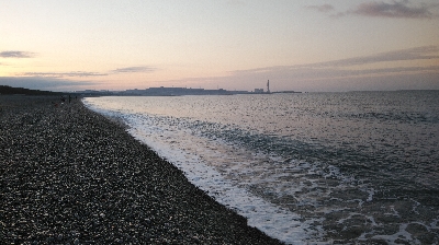 マイクロベイト対応できず。