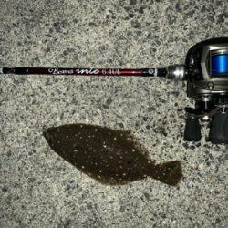 メバリングのはずが