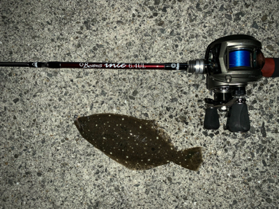 メバリングのはずが