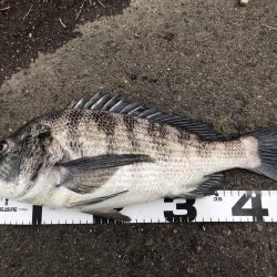 イチノ兄弟、釣果！