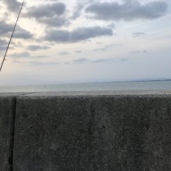 今日も朝から…