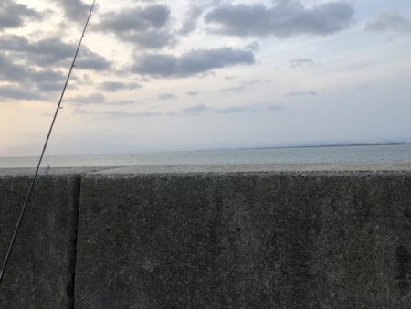 今日も朝から…