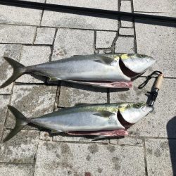 撃投ジグでブリ!!