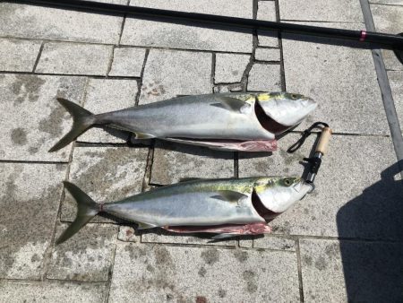 撃投ジグでブリ!!