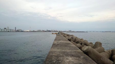 和田防で良型アジング！