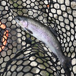 初めての管理釣り場