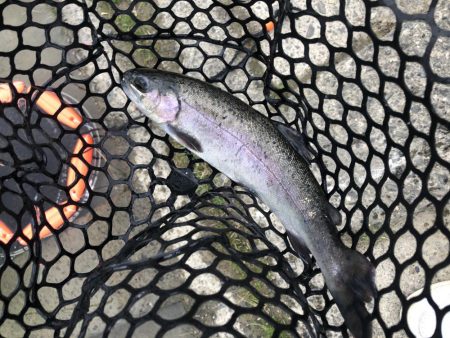 初めての管理釣り場