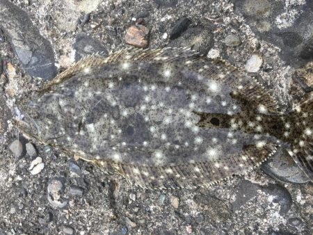 偶然にも出会えました