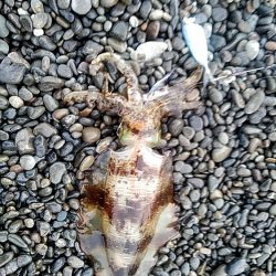 久しぶりキロアップです!!