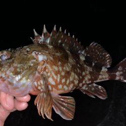 「ガツンッ」という感覚が忘れられなくて