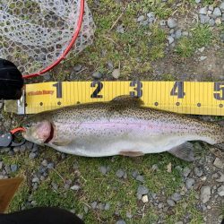 王禅寺フィッシュ