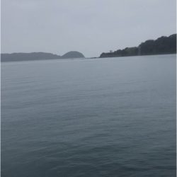 フラットフィッシュ狙い