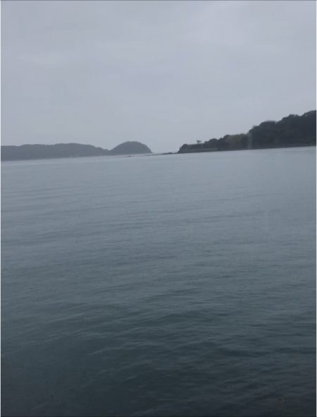 フラットフィッシュ狙い