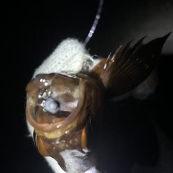 友達とメバリング