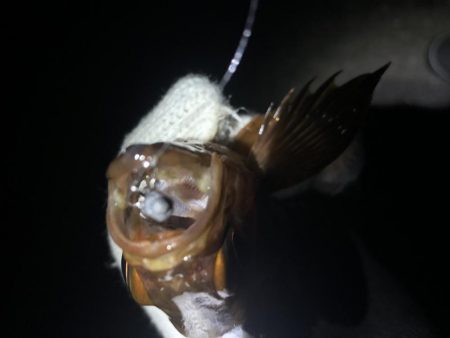 友達とメバリング