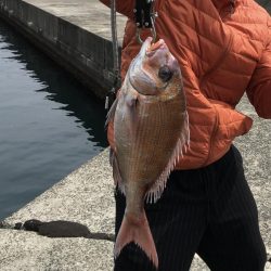 堤防からの真鯛