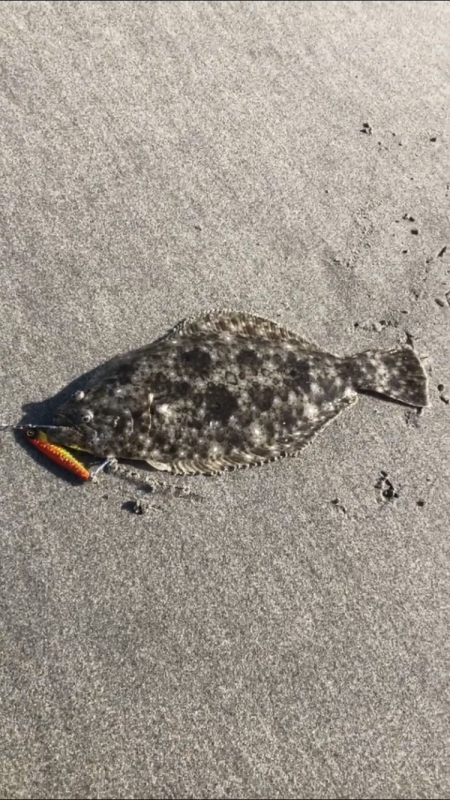 初サーフで良型のヒラメ