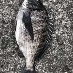 イチノ兄弟、釣果!