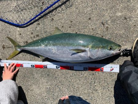 やっと釣れた‼️…