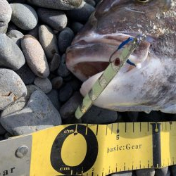 ショアジギング で巨大な真鯛78センチ5.0キロ