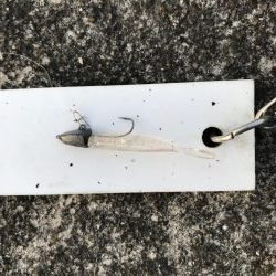 3月13日キビレゲーム