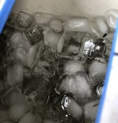 やっぱり深日港!中羽イワシが乱舞。