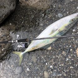 朝マズメ サーフフィッシング