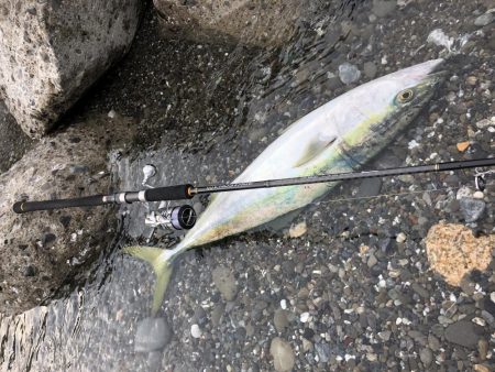 朝マズメ サーフフィッシング