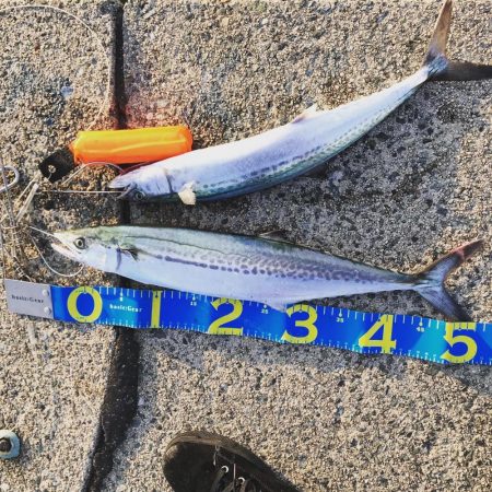 噂通りの人、人、人