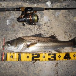 スレたらソリッドクリアの出番♪