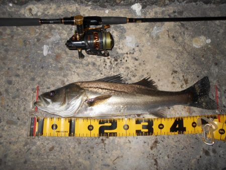 スレたらソリッドクリアの出番♪