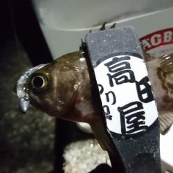 爆風メバリング