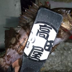 アミパターン！！