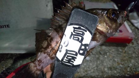 アミパターン！！