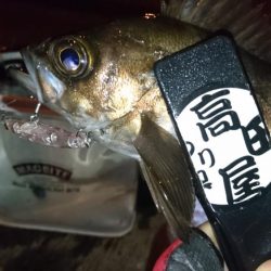 ハードメバル!!