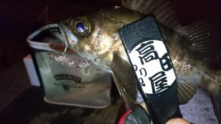 ハードメバル！！