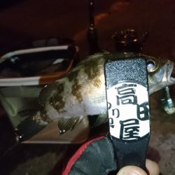 今夜もハード系