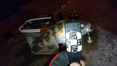 今夜もハード系