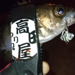 ジグパラメバリング！！