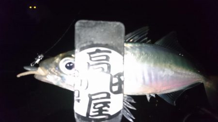 ボトムべったり！！