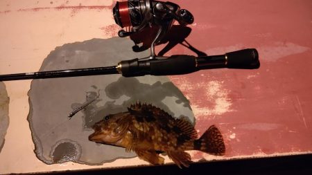 蒲刈方面アジング