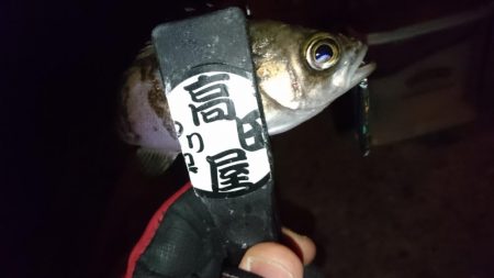 今夜もメタルメバリング！！