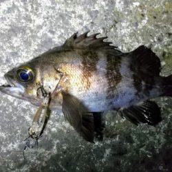 壁際についてるやつ