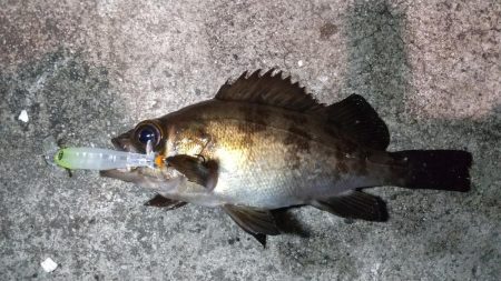 爆風の常夜灯まわり