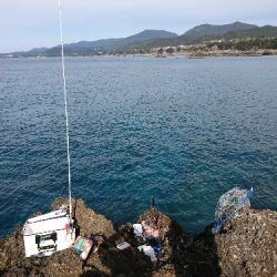 安指でグレ釣り？