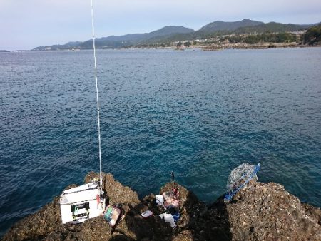 安指でグレ釣り？